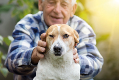 Hombre con Perro